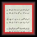 Bezad Jazib 01 * 22.03.2008 * 358 x 754 * (47KB)